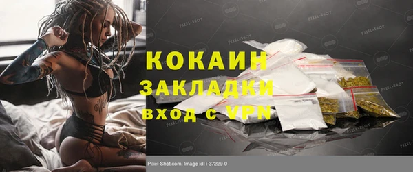 ПСИЛОЦИБИНОВЫЕ ГРИБЫ Богданович