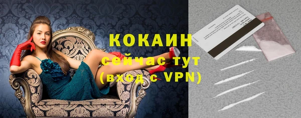 ПСИЛОЦИБИНОВЫЕ ГРИБЫ Богданович