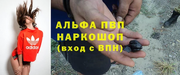 ПСИЛОЦИБИНОВЫЕ ГРИБЫ Богданович