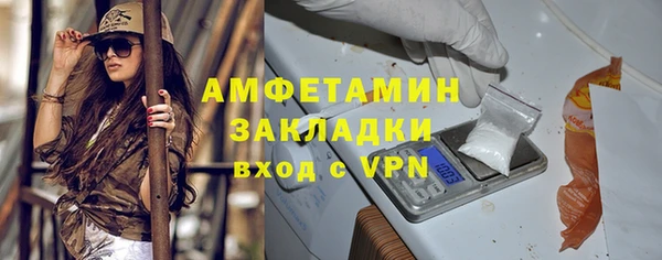 ПСИЛОЦИБИНОВЫЕ ГРИБЫ Богданович