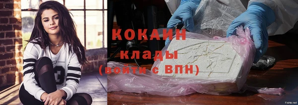 ПСИЛОЦИБИНОВЫЕ ГРИБЫ Богданович