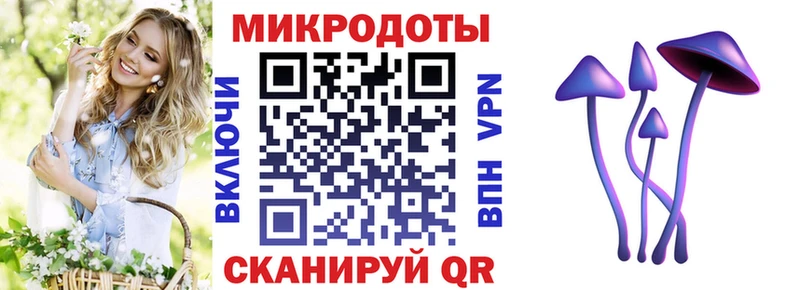 Псилоцибиновые грибы Cubensis  наркотики  блэк спрут рабочий сайт  Бобров 